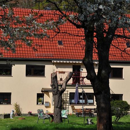 Ferienwohnung An Der Elbe Stadt Wehlen Dış mekan fotoğraf