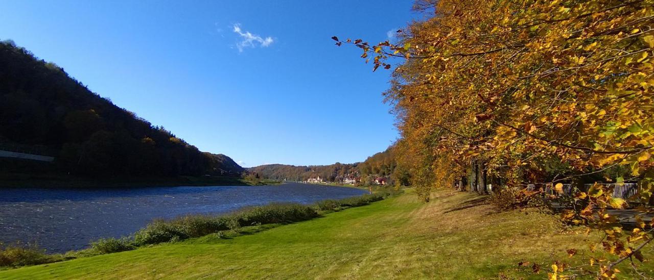 Ferienwohnung An Der Elbe Stadt Wehlen Dış mekan fotoğraf