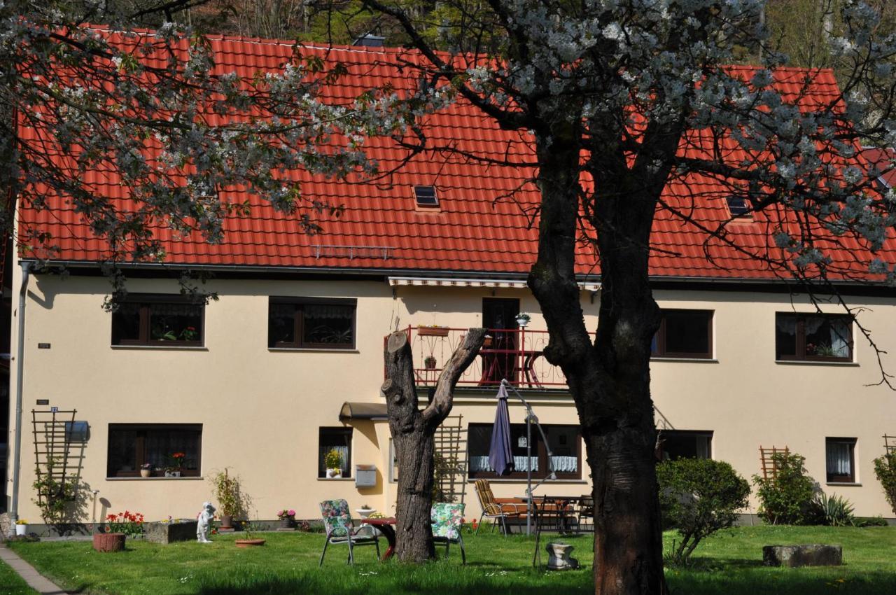 Ferienwohnung An Der Elbe Stadt Wehlen Dış mekan fotoğraf